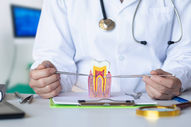 Best Weekend Emergency Dentist in Black River Falls, WI